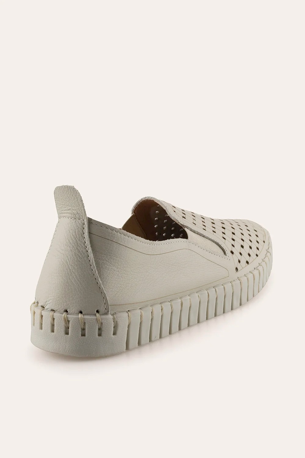 image_55957bd0-de9c-41d5-a6cc-ae8e332dfdc7