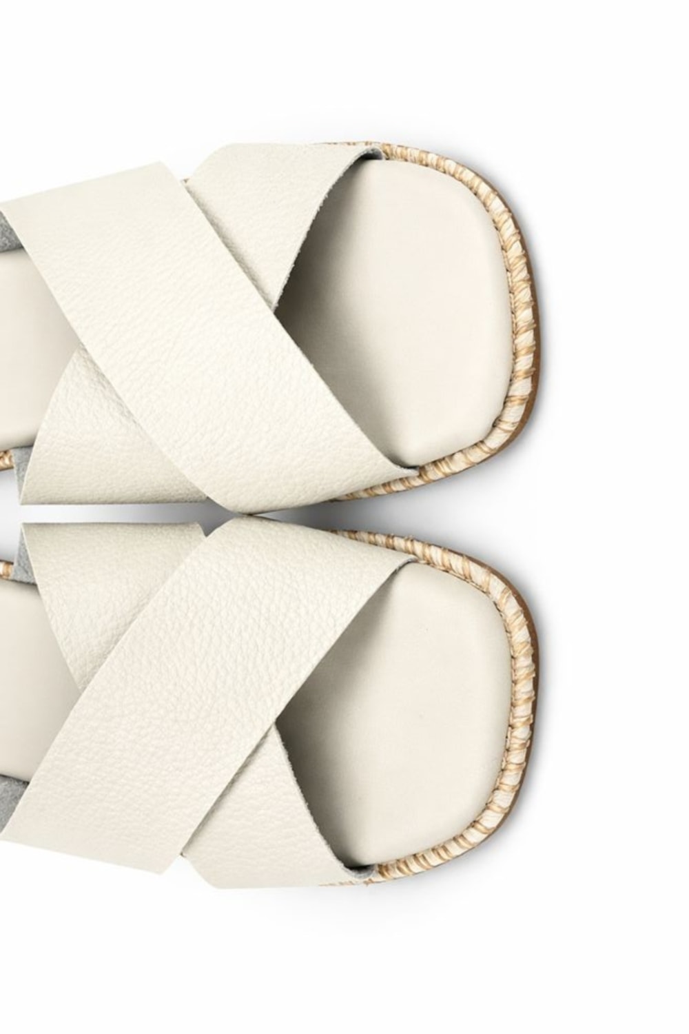 image_481d900a-239b-4c88-86ed-6a8c65474ed2