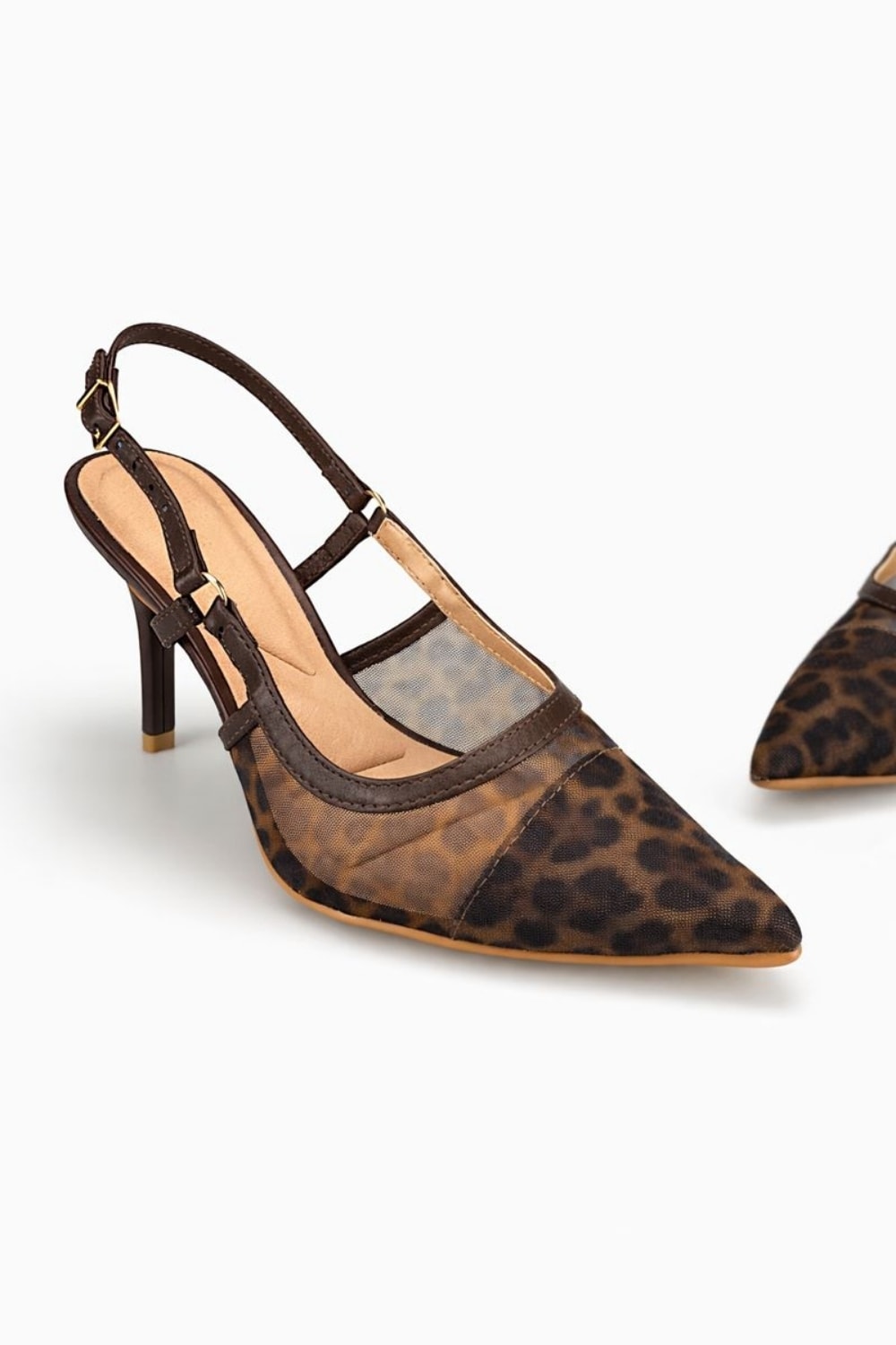 image_010aaea3-02f3-4188-8c62-08e0214881dc