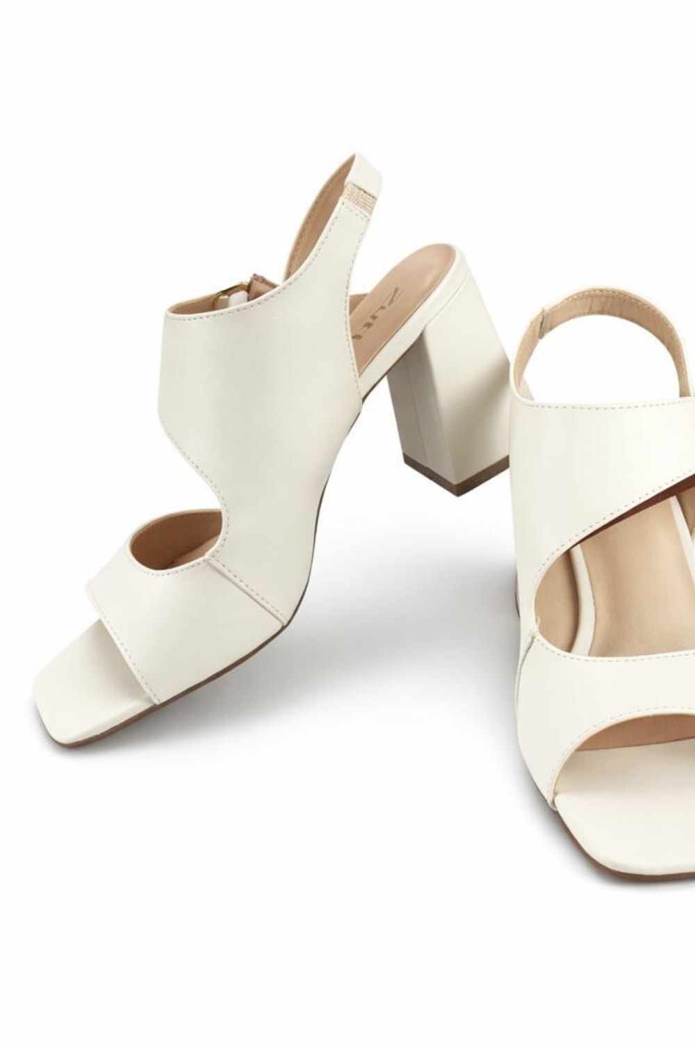 image_cc0e6940-cf66-4e89-b184-9b47cad10e3c